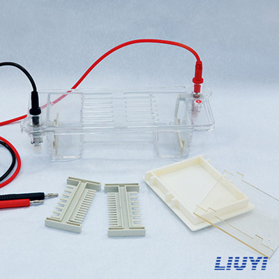 北京六一DYCP-31CN核酸電泳儀瓊脂糖水平電泳儀(小號(hào))