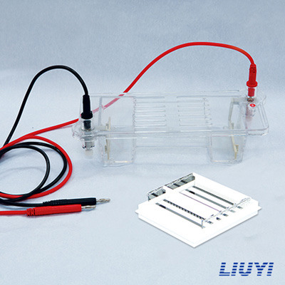 北京六一DYCP-32B核酸電泳儀瓊脂糖水平電泳儀(中號(hào))