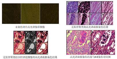 彩譜臺(tái)式分光測色儀CS-820N原理